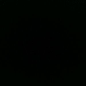 Meet your Posher, Nely